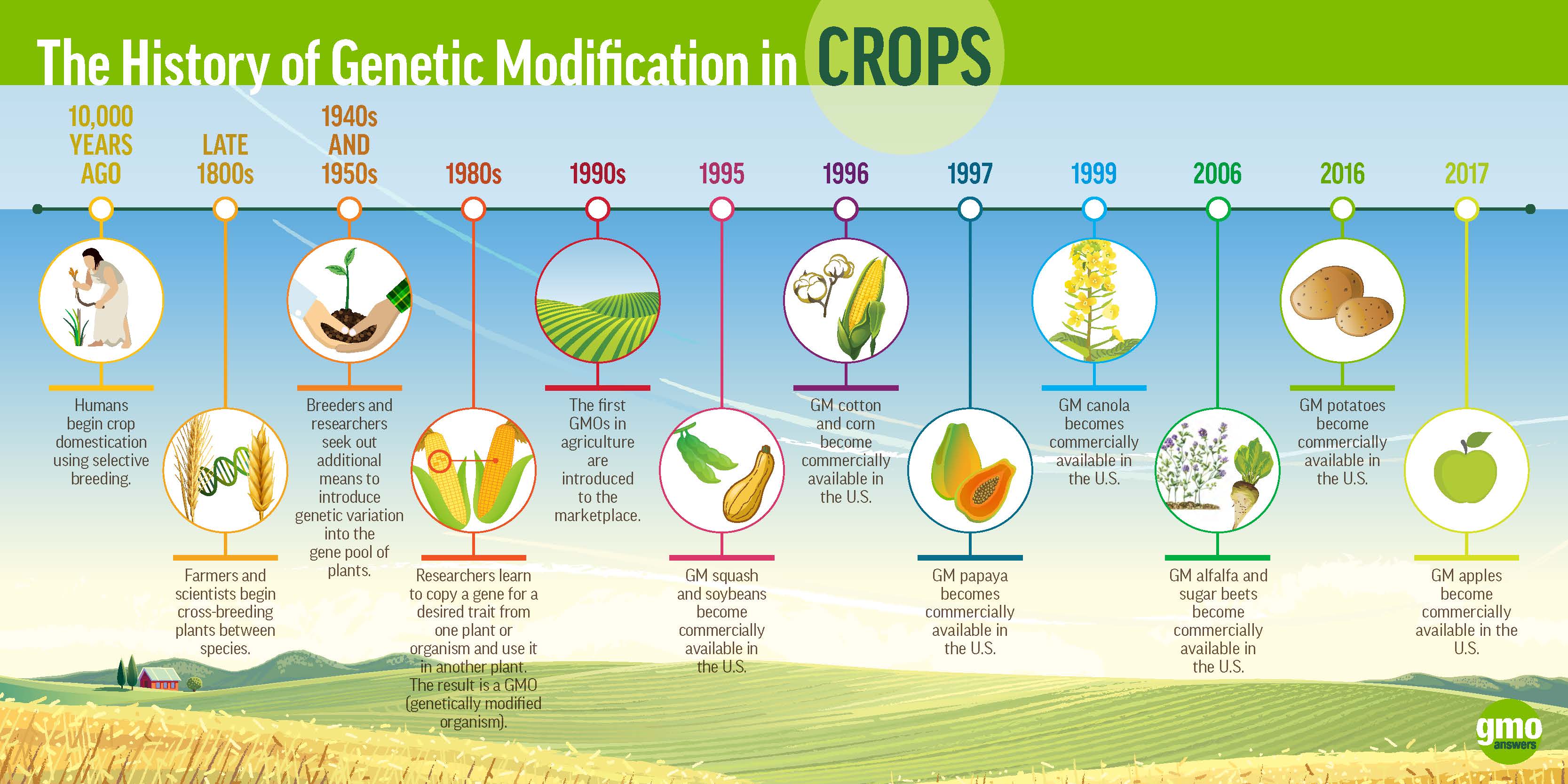 Plants story. Genetic Engineering of Plants. Genetic modification. History of GMO. Генетически модифицированный организм.